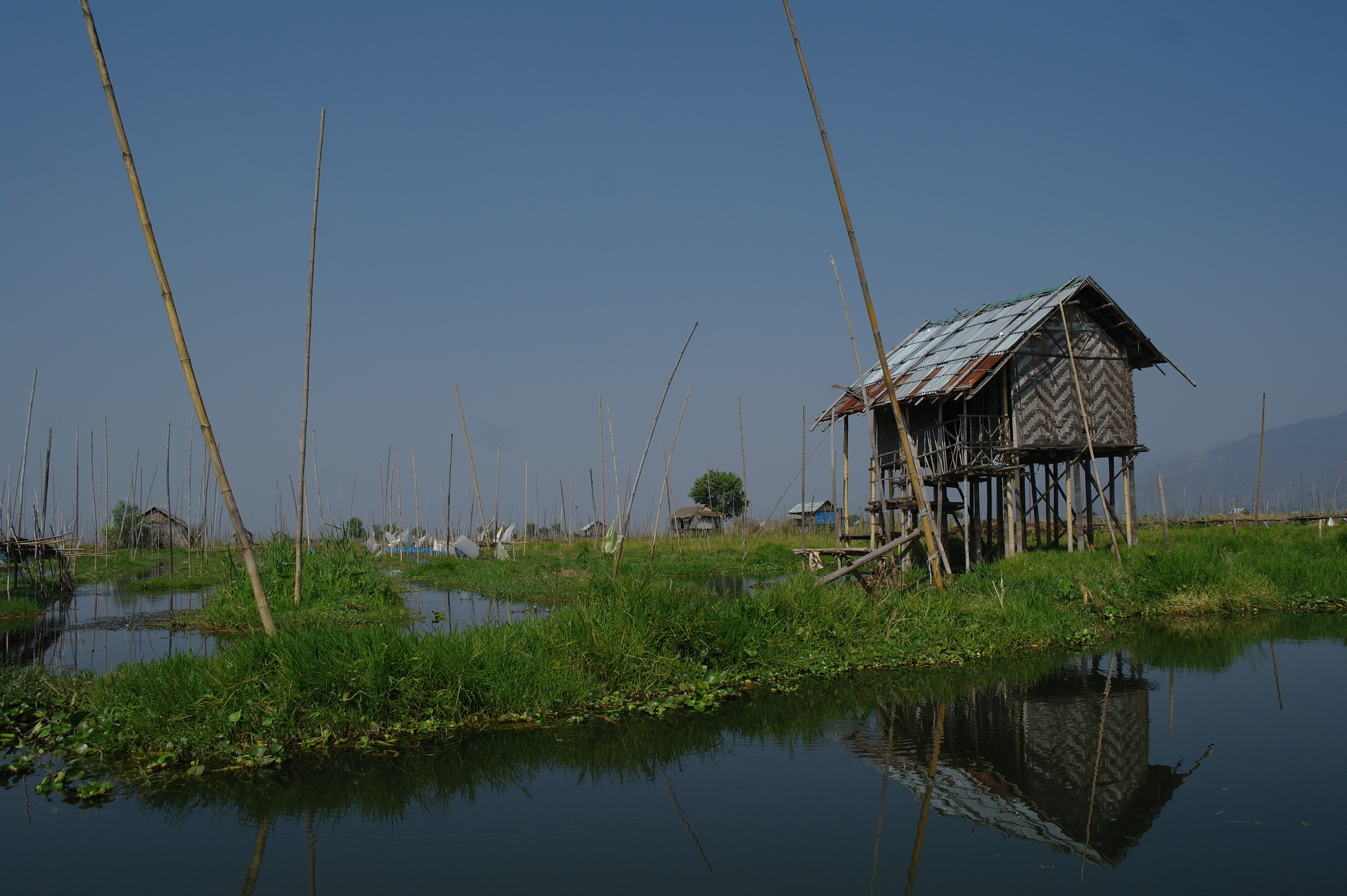 L’atypique lac Inle L’atypique lac Inle