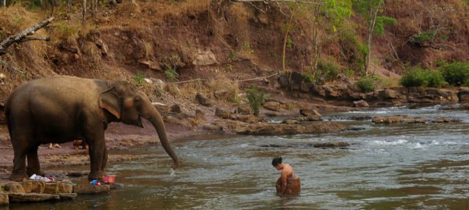 Des cascades, des éléphants, un café exceptionnel et une nuit dans un hôtel de passes : récit d’un <em>road trip</em> sur le plateau des Bolavens Des cascades, des éléphants, un café exceptionnel et une nuit dans un hôtel de passes : récit d’un <em>road trip</em> sur le plateau des Bolavens