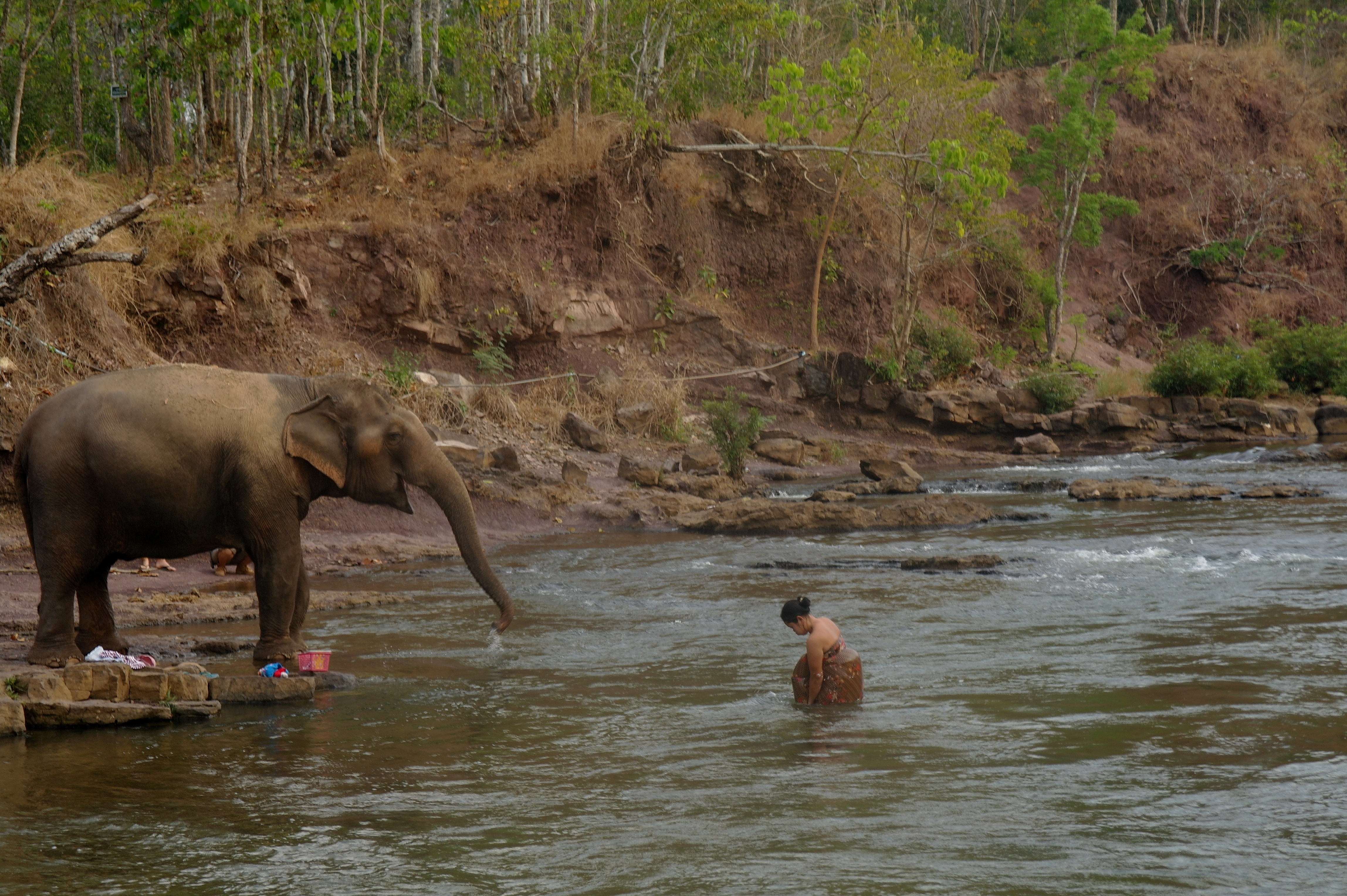 Des cascades, des éléphants, un café exceptionnel et une nuit dans un hôtel de passes : récit d’un <em>road trip</em> sur le plateau des Bolavens Des cascades, des éléphants, un café exceptionnel et une nuit dans un hôtel de passes : récit d’un <em>road trip</em> sur le plateau des Bolavens