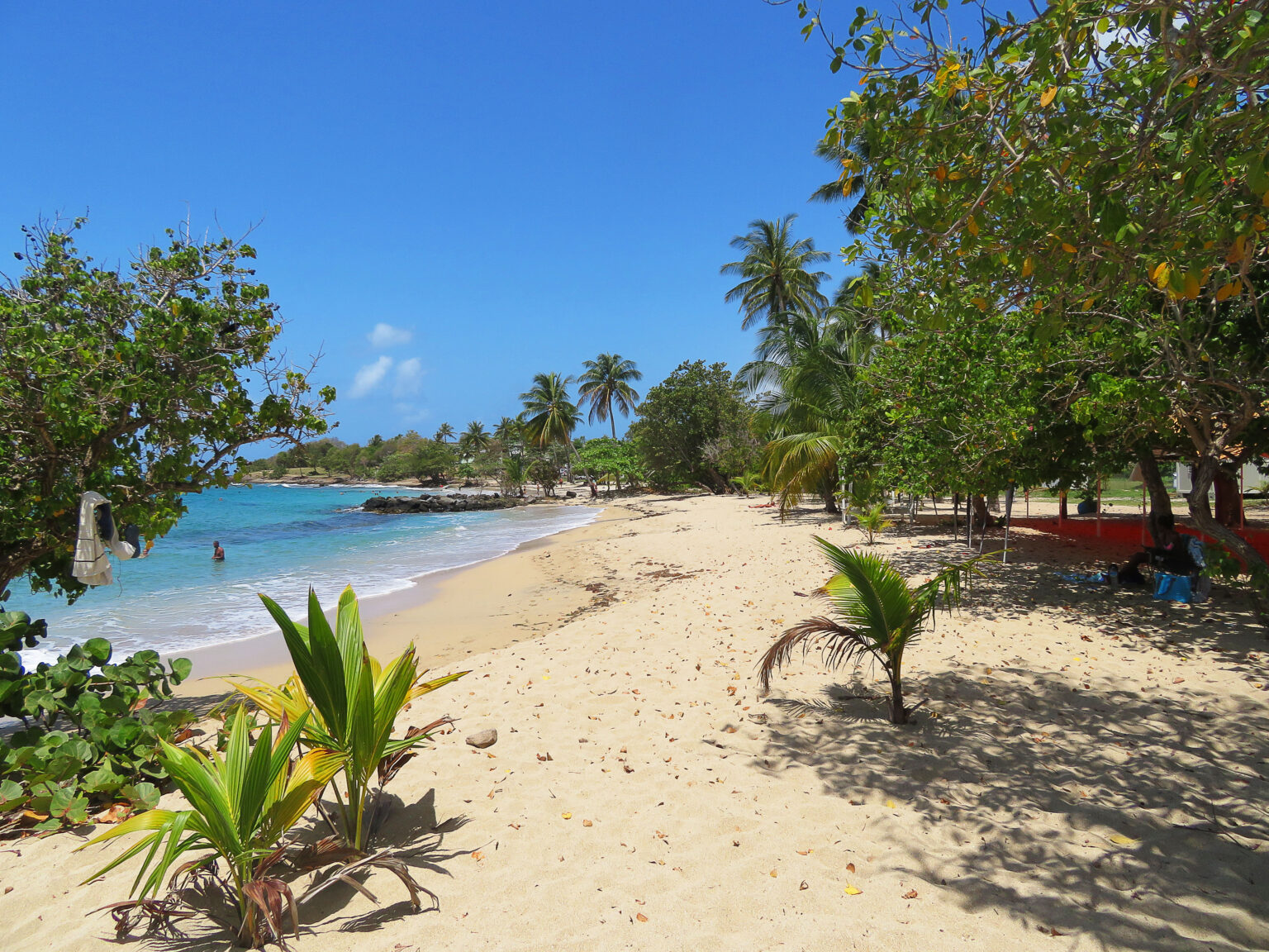 Martinique : Sainte Luce et les 7 plages – Kikisbackpackingtour